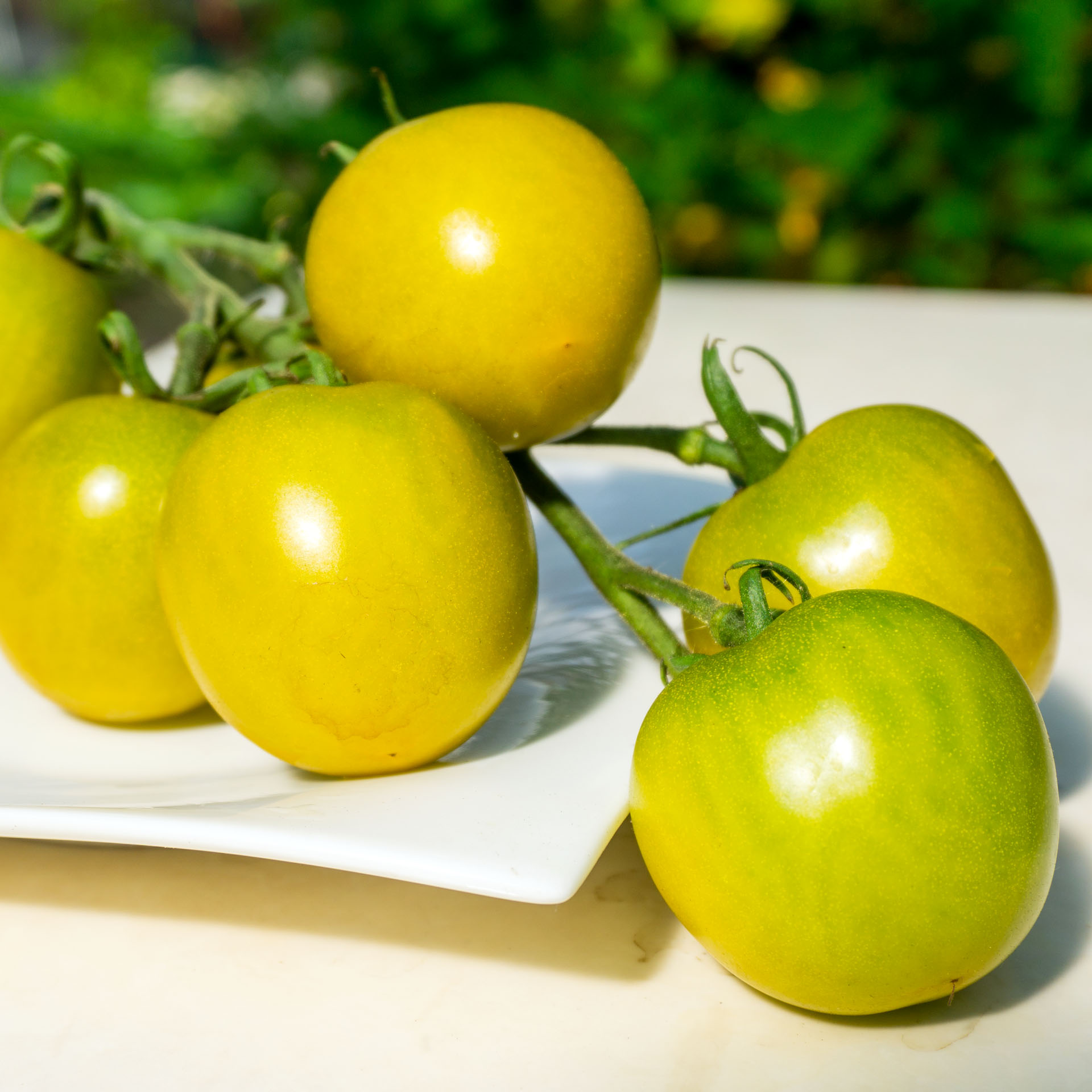 Kirschtomate 'Green en Grapes' (Samen)