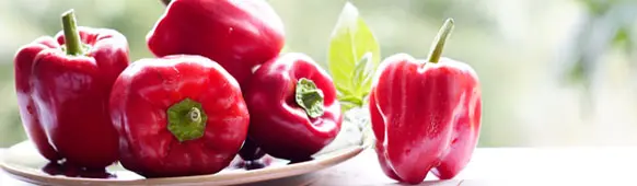Paprika Neusiedler Ideal