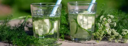 bild von rezept
