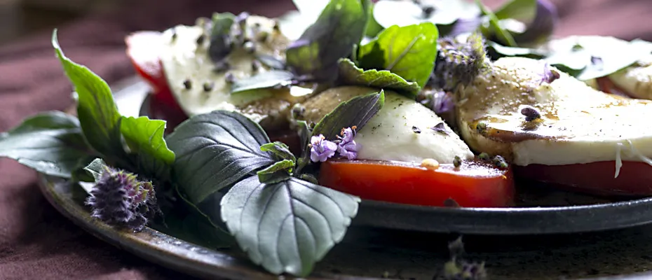 Tomate Mozzarella Basilikum