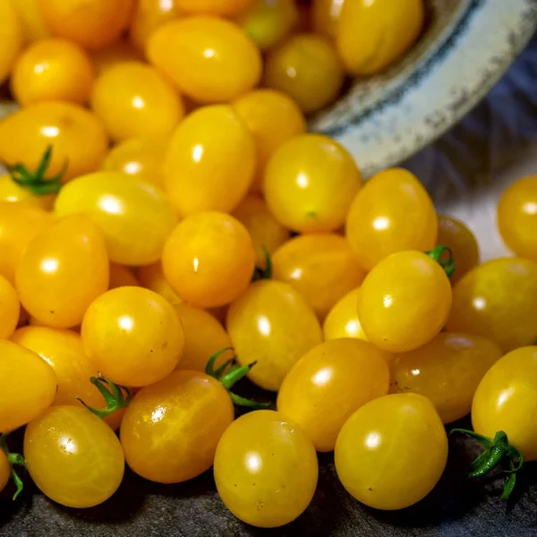 Datteltomate, gelb (Samen)