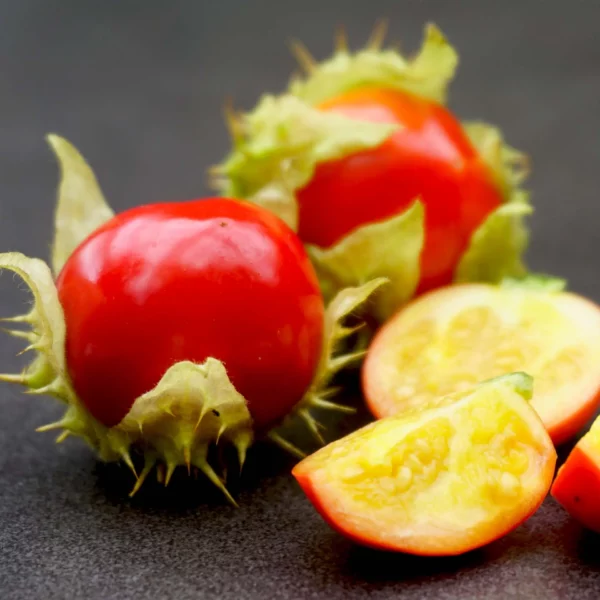 Litschi-Tomate 'Gigante' (Samen)