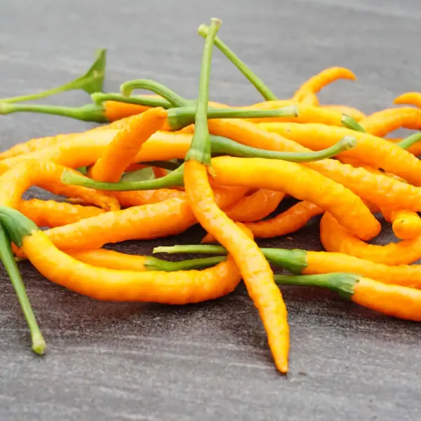 Thai Orange Hot (Samen)