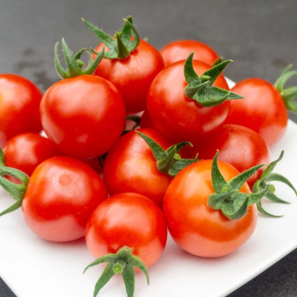 Kirschtomate 'Resi' (Samen)