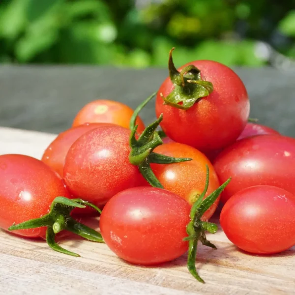 Sizilianische Kirschtomate 'Rosalita' (Samen)